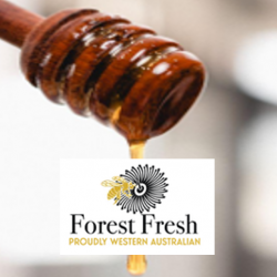 forest_fresh